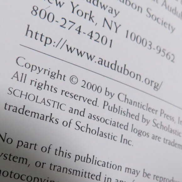 Sea Shells First Field Guide National Audubon Society 2000 LIKE NEW - Picture 4 of 15